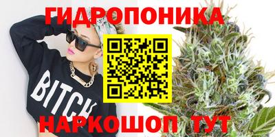 apvp Пушкино