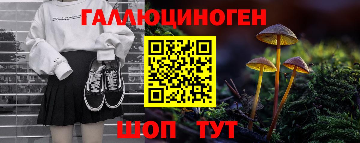 Псилоцибиновые грибы Psilocybe  Вход с VPN  Серпухов  Псилоцибиновые грибы GOLDEN TEACHER 